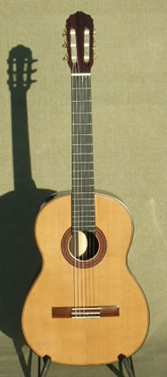Arias Guitar 1A