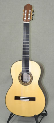 Arias Guitar 1A Maestro