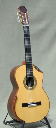 Arias Guitar 1A Maestro