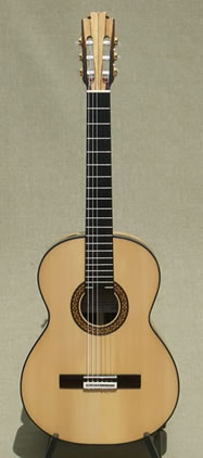Arias Guitar 1A Maestro Special