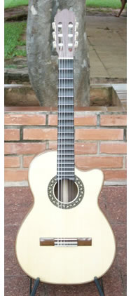 Arias Guitar 2A