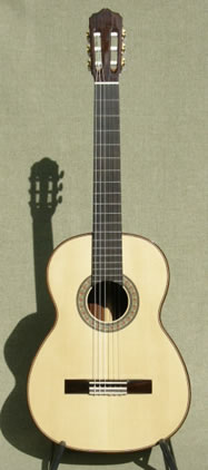 Arias Guitar 1A