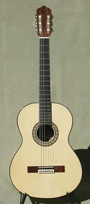 Arias Guitar 2A