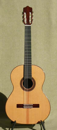 Arias Guitar 2A