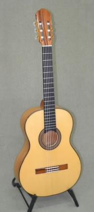 Arias Guitar 2A