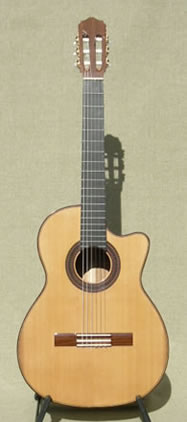 Arias Guitar 2A