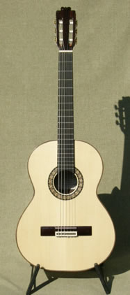 Arias Guitar Flamenco Negra